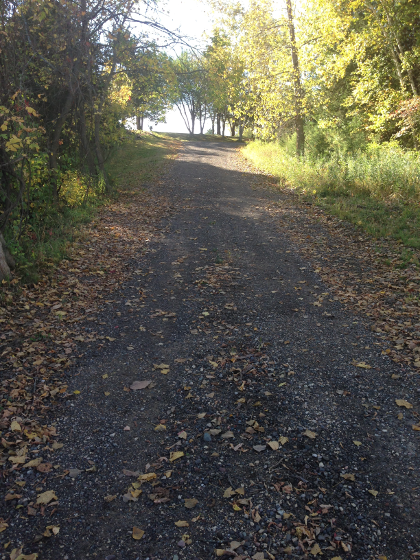 Steep Hill