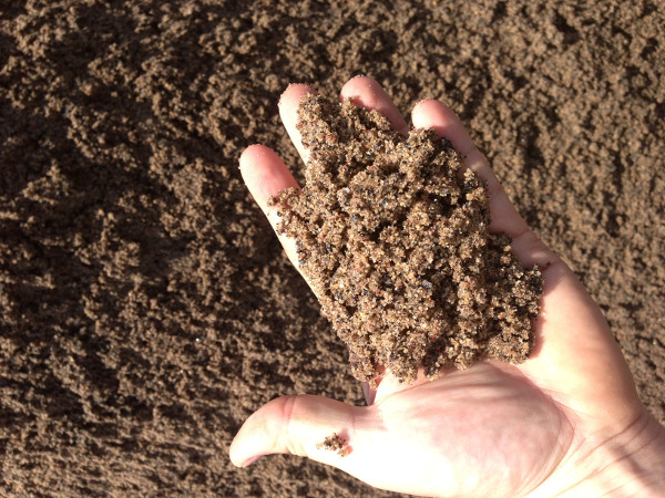 Washed Sand